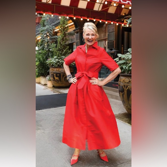 NWT Frances Valentine Bella Maxi Dress - size L - Picture 2 of 6